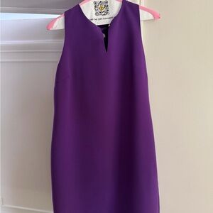 Lauren Ralph Lauren Purple sleeveless Mini Dress